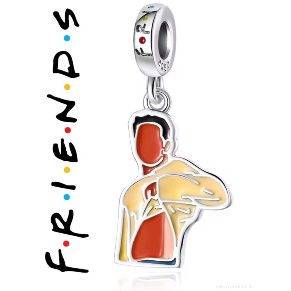 NWOT Friends TV Series Ross Geller Pandora FIT Silver Charm